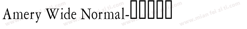 Amery Wide Normal字体转换